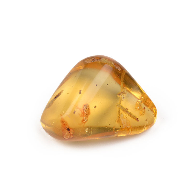 Real Amber Plant Inclusion Stone