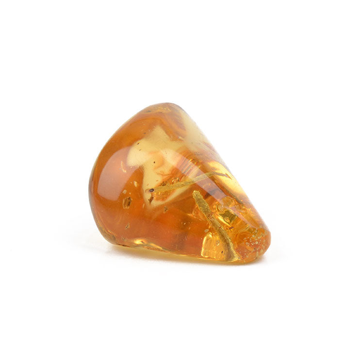 Real Amber Plant Inclusion Stone