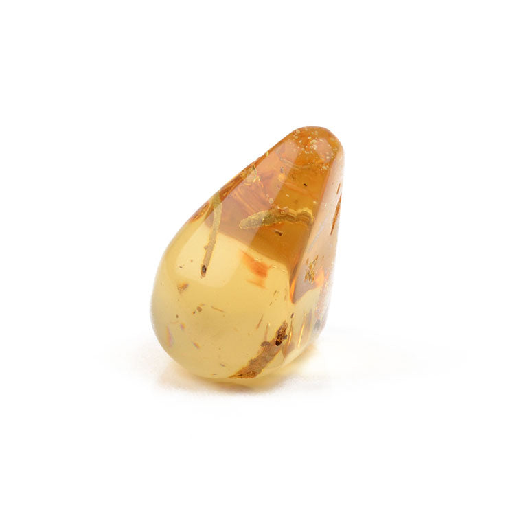 Real Amber Plant Inclusion Stone