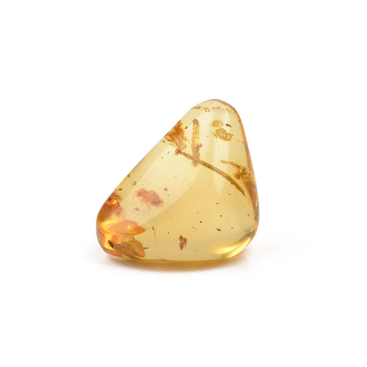 Real Amber Plant Inclusion Stone