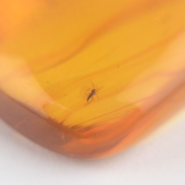 Insect Inclusion Pendant from Russia