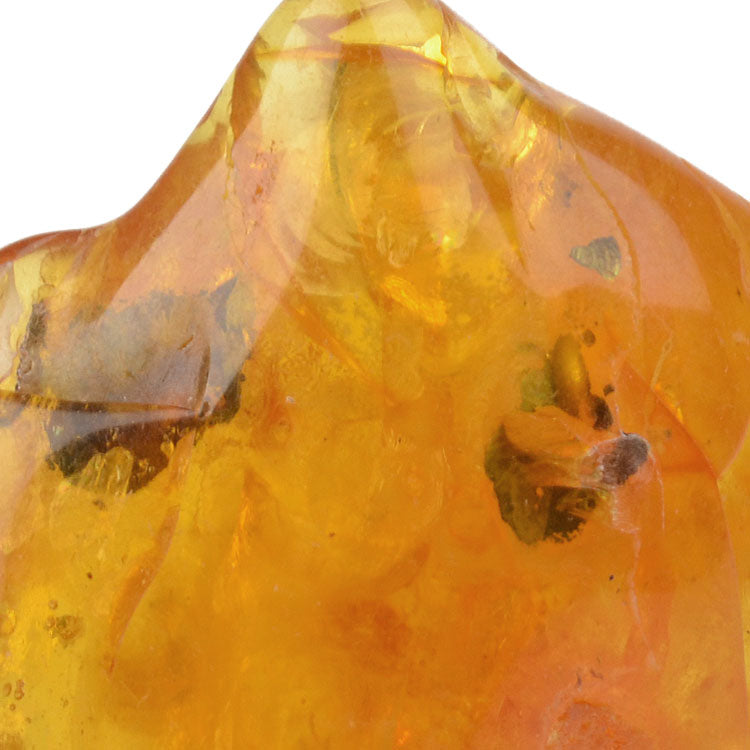 Authentic Amber Stone With Inclusions