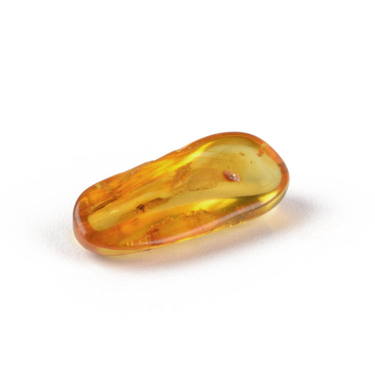 Natural Insect Amber for Collectors