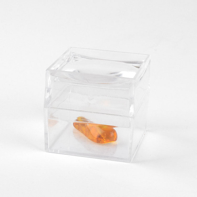Natural Insect Amber for Collectors