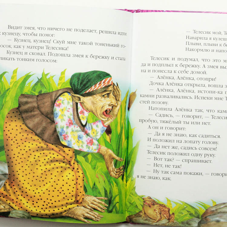 Assorted Russian Fairytales Book