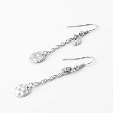 Silver Disks Long Chain Necklace and Earrings Set