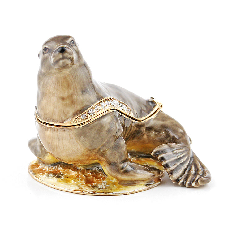 California Sea Lion Hinged Trinket Box