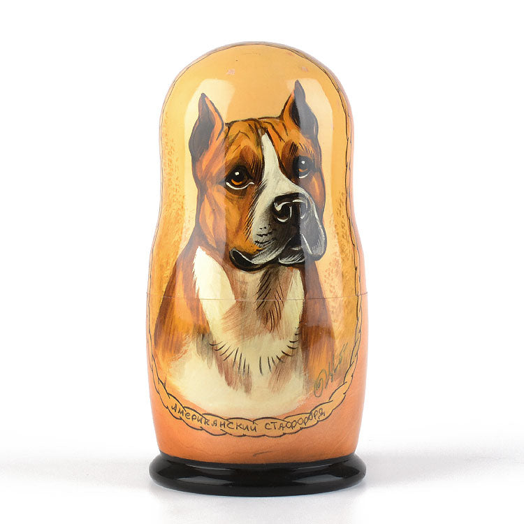 American Staffordshire Terrier