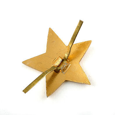 Russian Soviet Red Star Pin