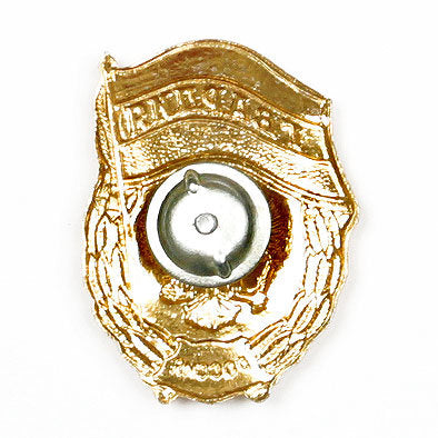 Russian Special Guards Pin