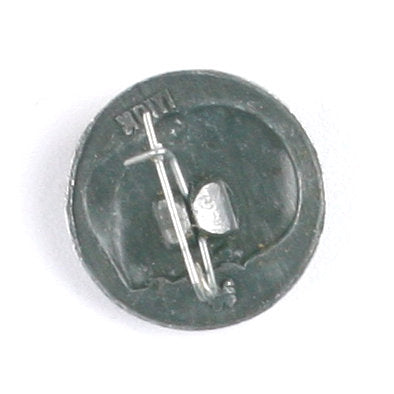 Memory of Lenin Pin