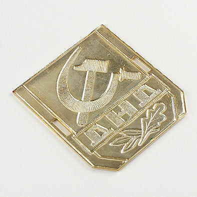 USSR Combatant Druzhinnik Badge