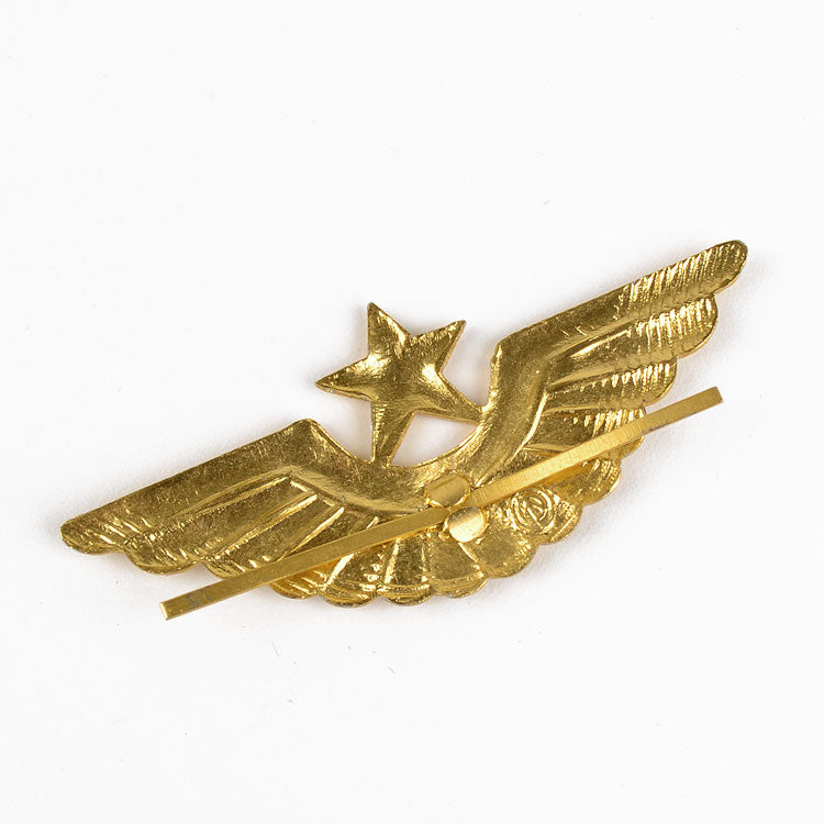 Pilot Star & Wings Pin