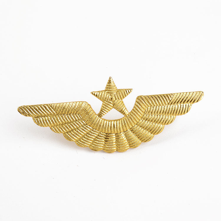 Pilot Star & Wings Pin