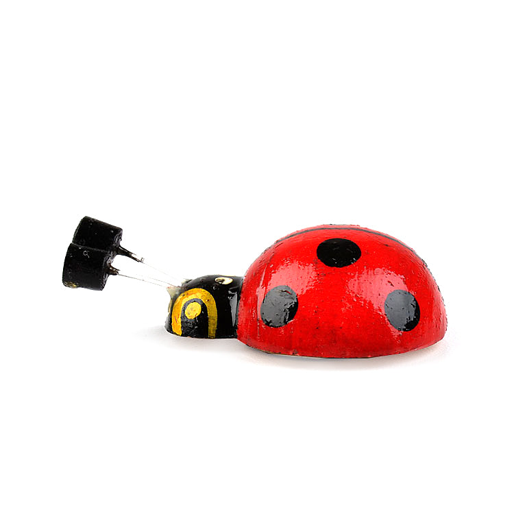 Little Ladybug Kitchen Magnet