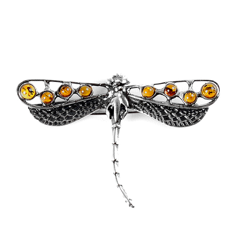 Amber Dragonfly Brooch or Pendant
