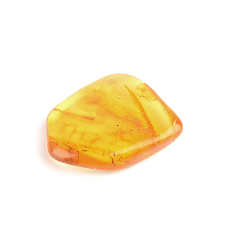Collectible Piece of Baltic Amber
