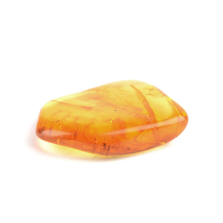 Collectible Piece of Baltic Amber