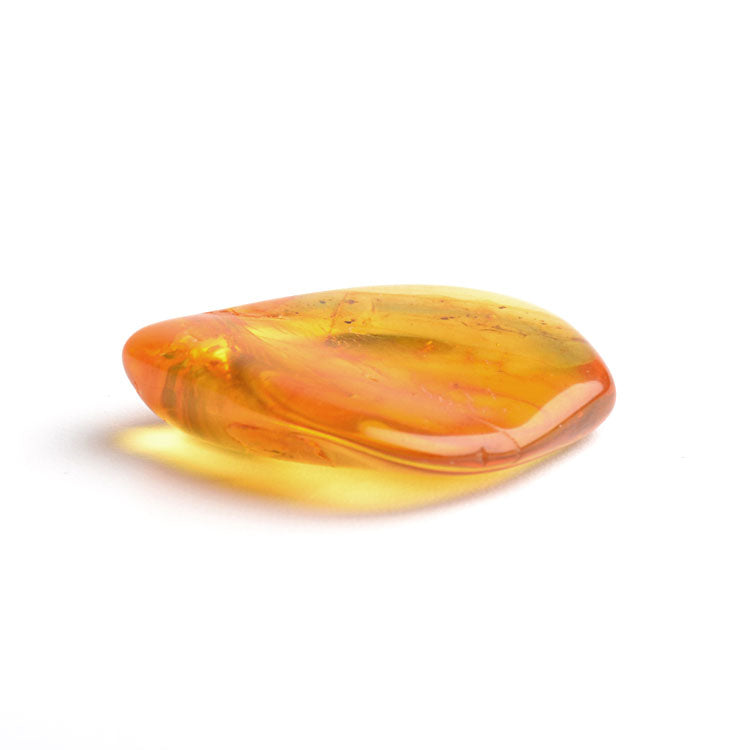 Collectible Piece of Baltic Amber
