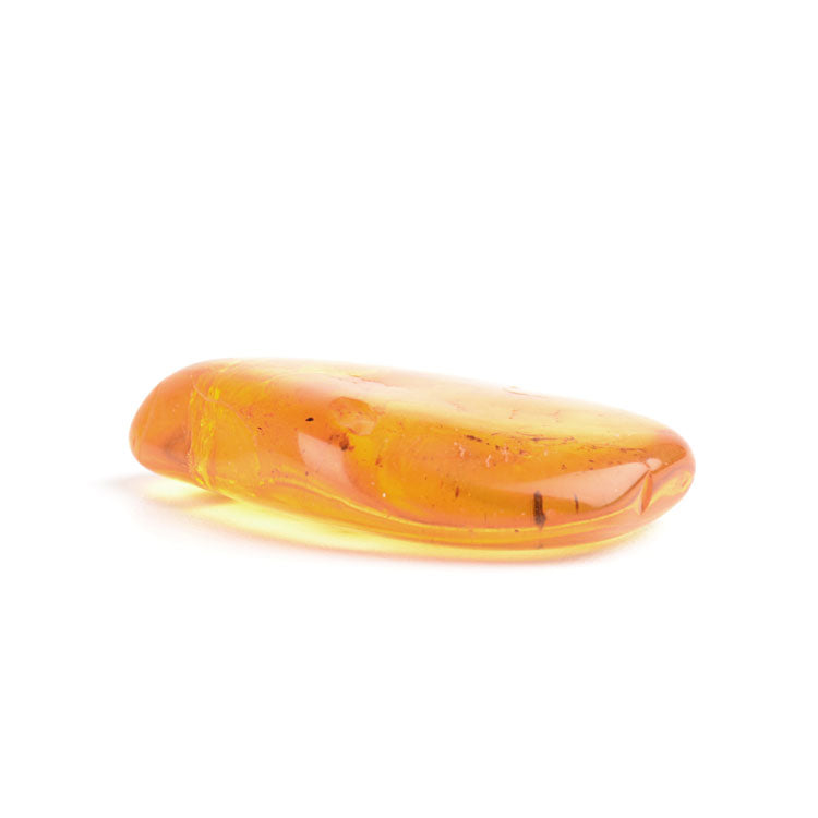 Collectible Piece of Baltic Amber