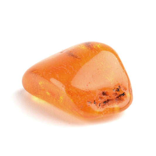 Baltic Sea Amber Nugget