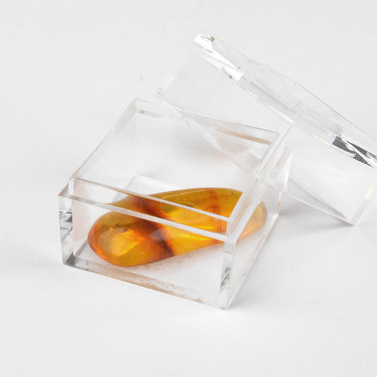 Insect Inclusion Amber Collectible