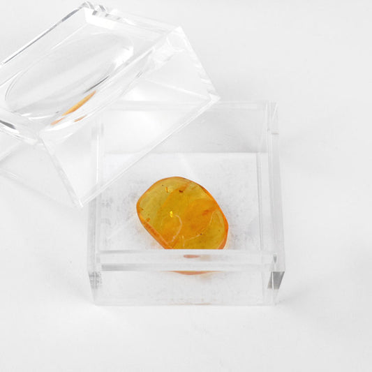 Small Amber Nugget for Collectors