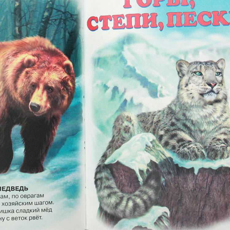 Animal World Russian Book