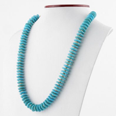 Turquoise and Spiny Oyster Shell Necklace