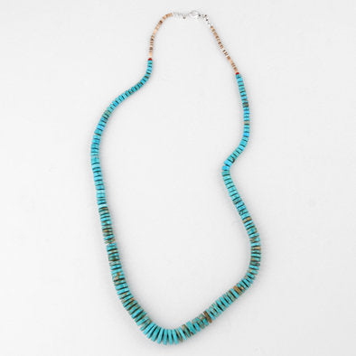 Long Heishi Beads Turquoise Necklace