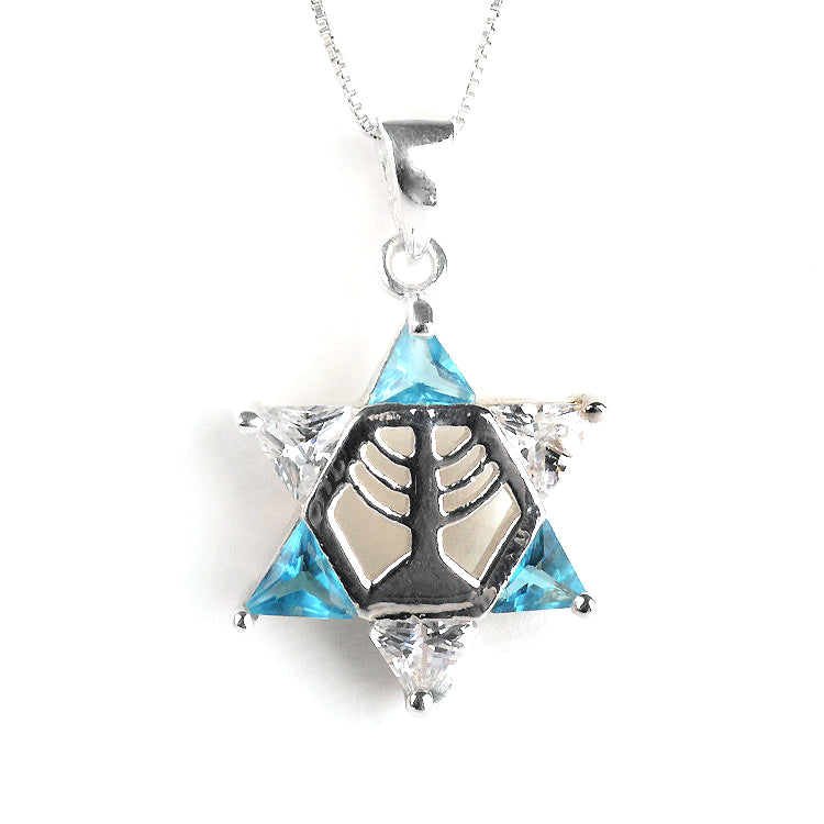 Blue & White Star of David Pendant