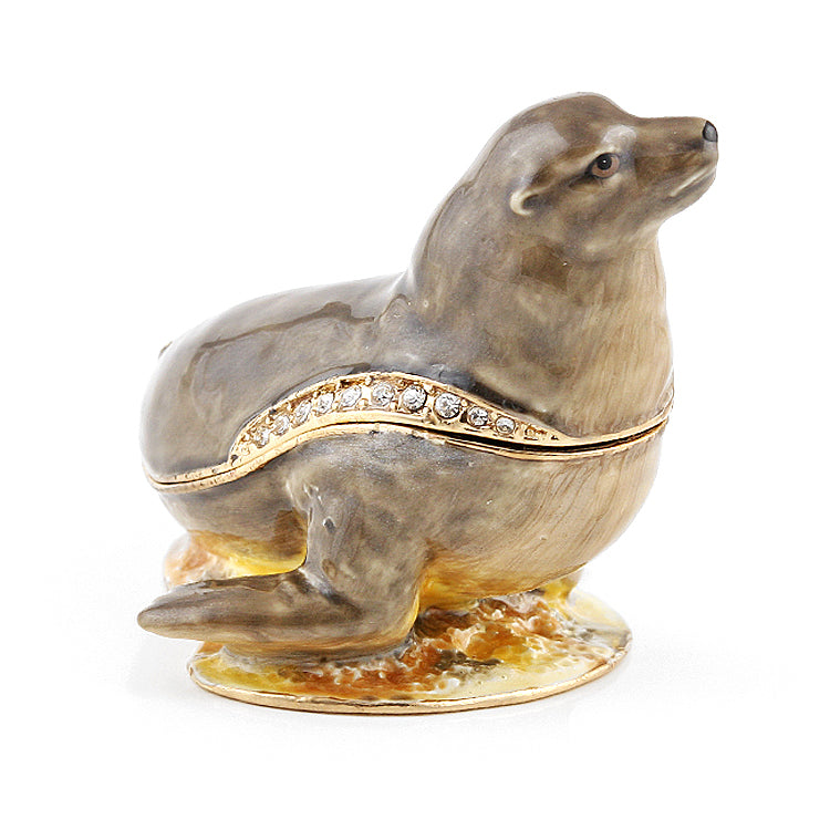 California Sea Lion Hinged Trinket Box