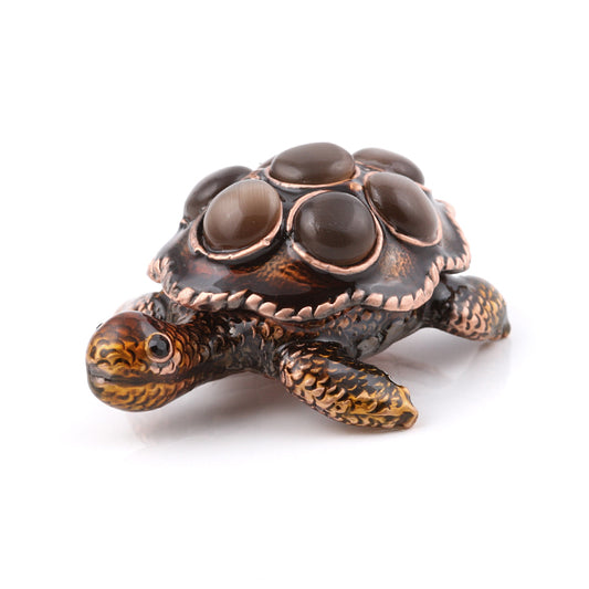 Small Brown Turtle Gift Box