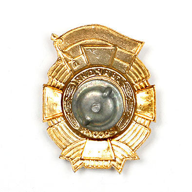 National Guard Pin
