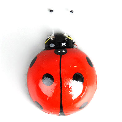Ladybug Kitchen Magnet